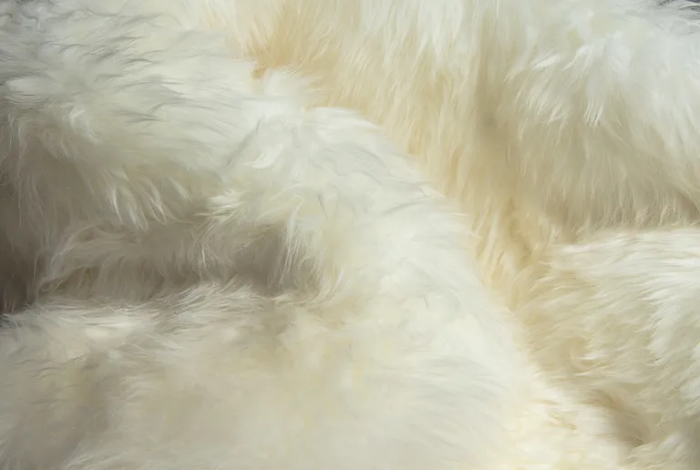 Natural Double Sheepskin - Area Rug Photo 2