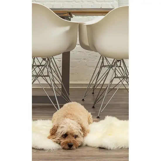 Natural New Zealand Sheepskin Wool Area Rug in White Photo 3