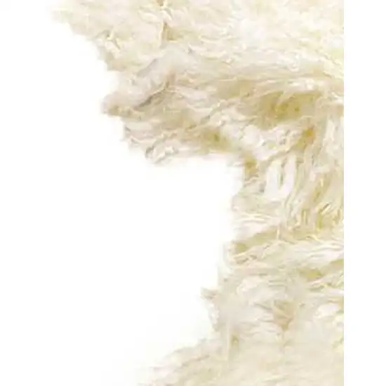 Natural New Zealand Sheepskin Wool  Area Rug Photo 5