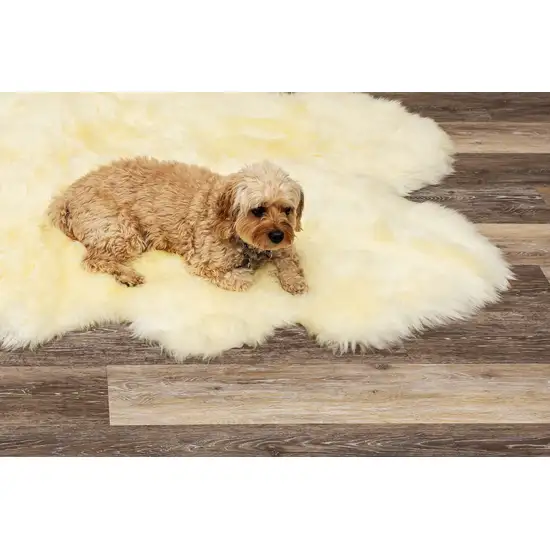 Natural Sheepskin Wool Area Rug Photo 4