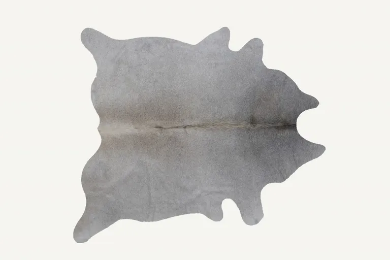 Natural and Light Gray Cowhide  Area Rug Photo 2