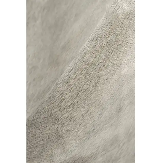 Natural and Light Gray Cowhide  Area Rug Photo 1