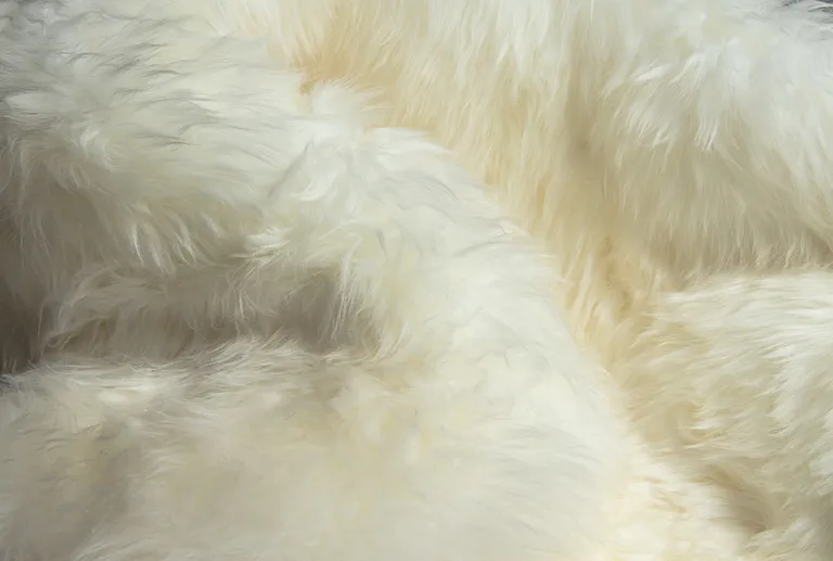 Off White Ciruclar Sheepskin  Rug Photo 2