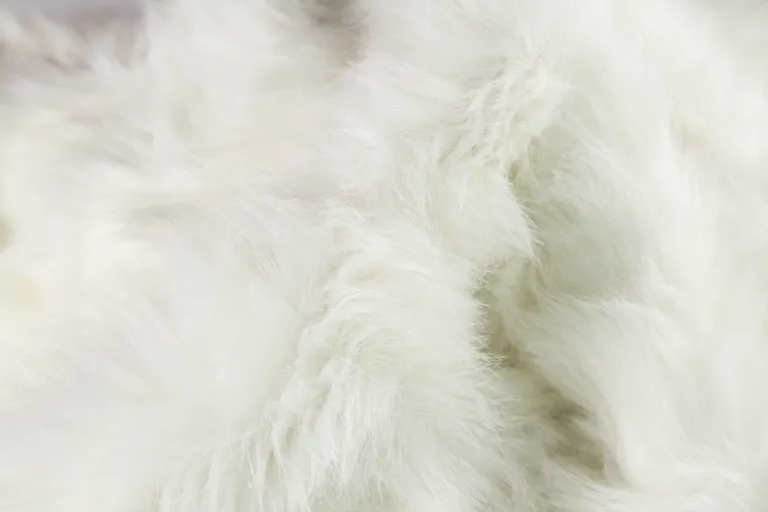 Off White Faux Sheepskin - Area Rug Photo 1