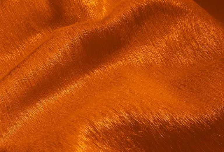 Orange Cowhide - Area Rug Photo 2