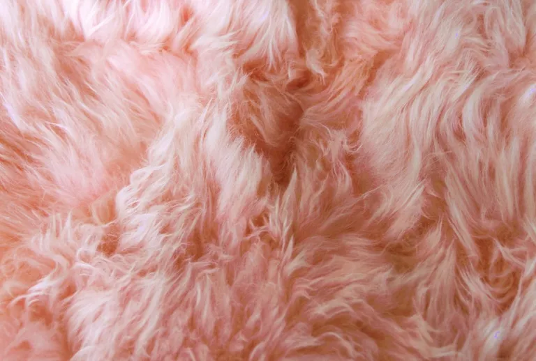 Pink Natural Sheepskin Area Rug Photo 2