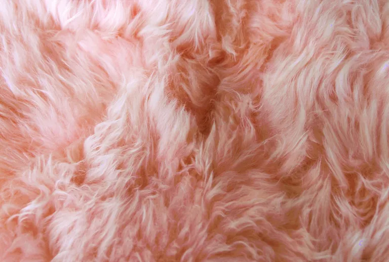 Pink Single Sheepskin - Area Rug Photo 2