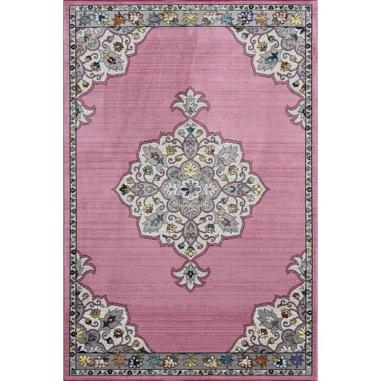 Pink Traditional Medallion Area Rug Photo 1