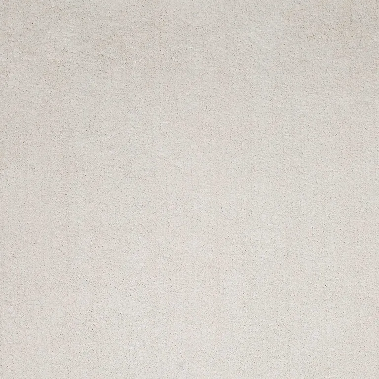 Polyester Ivory Area Rug Photo 3