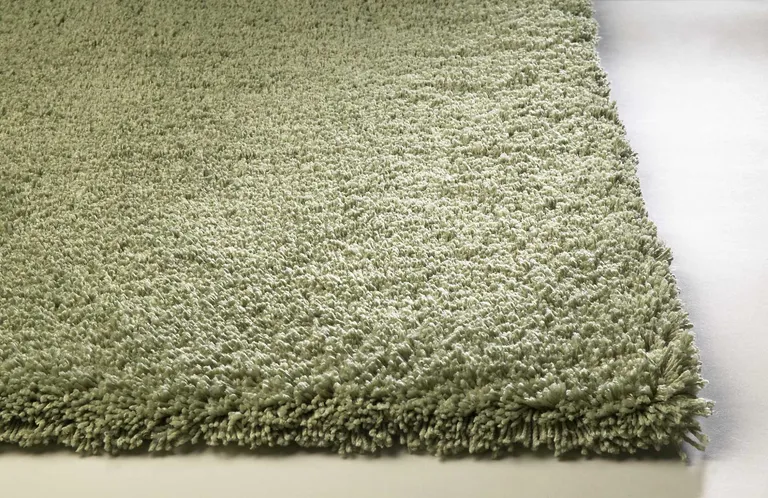 Polyester Sage Area Rug Photo 5