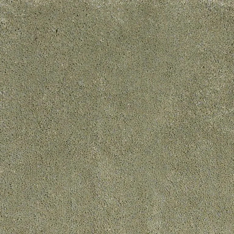 Polyester Sage Area Rug Photo 2