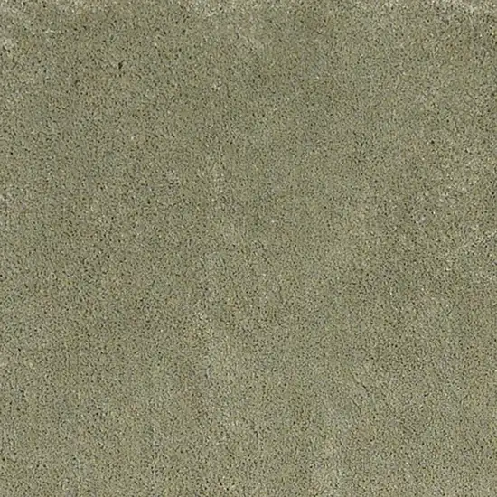 Polyester Sage Area Rug Photo 2