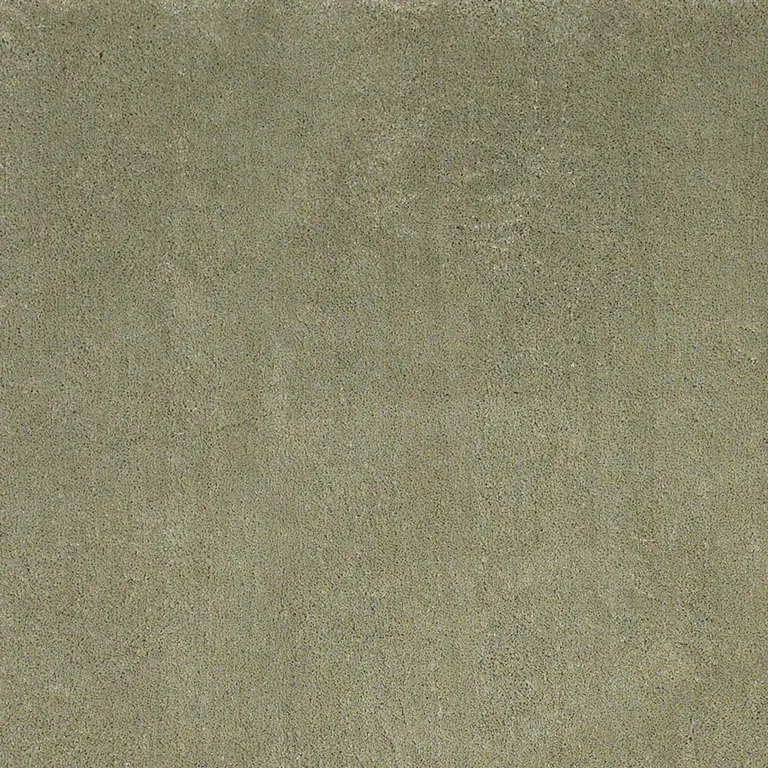 Polyester Sage Area Rug Photo 3