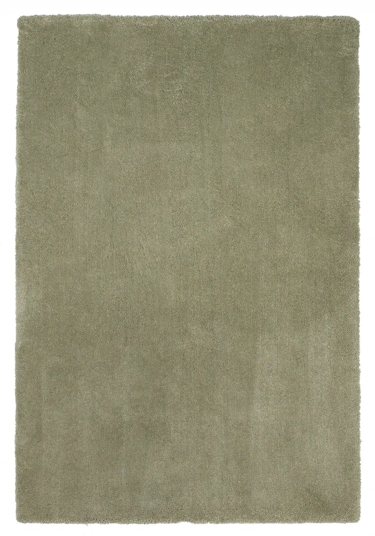 Polyester Sage Area Rug Photo 1