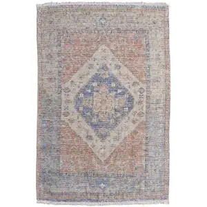 Photo of Red Blue and Ivory Abstract Hand Woven Distressed Area Rug With Fringe