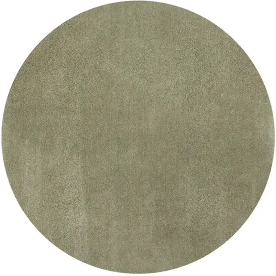 Polyester Sage Area Rug Photo 3