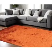 Photo of Rust Shag Hand Tufted Area Rug