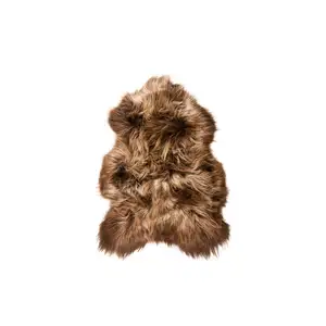 Photo of Rusty Brisa Curly Single Sheepskin - Area Rug