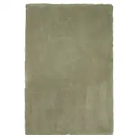 Photo of Sage Green Indoor Shag Rug