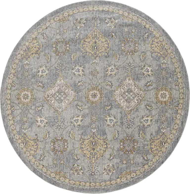 Sage Green Machine Woven Traditional Indoor Area Rug Photo 3