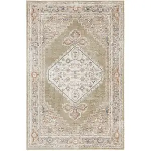 Photo of Sage Oriental Power Loom Distressed Washable Area Rug