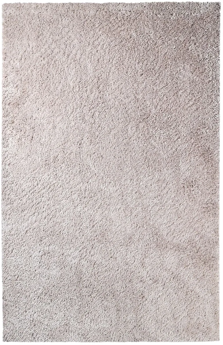 Shag Stain Resistant Area Rug Photo 1