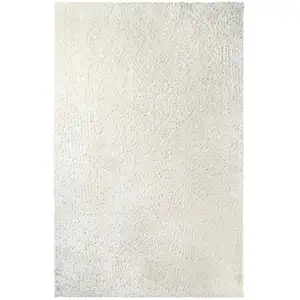 Photo of Shag Stain Resistant Area Rug