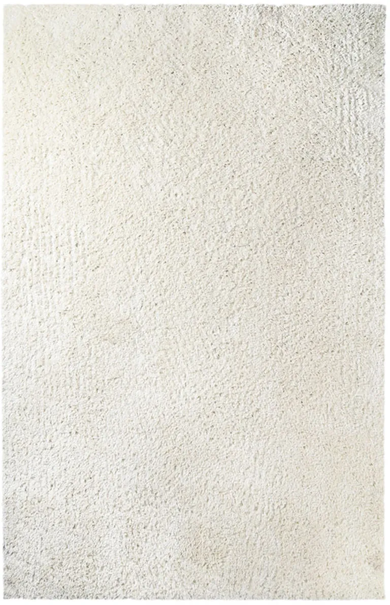 Shag Stain Resistant Area Rug Photo 1