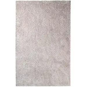 Photo of Shag Stain Resistant Area Rug