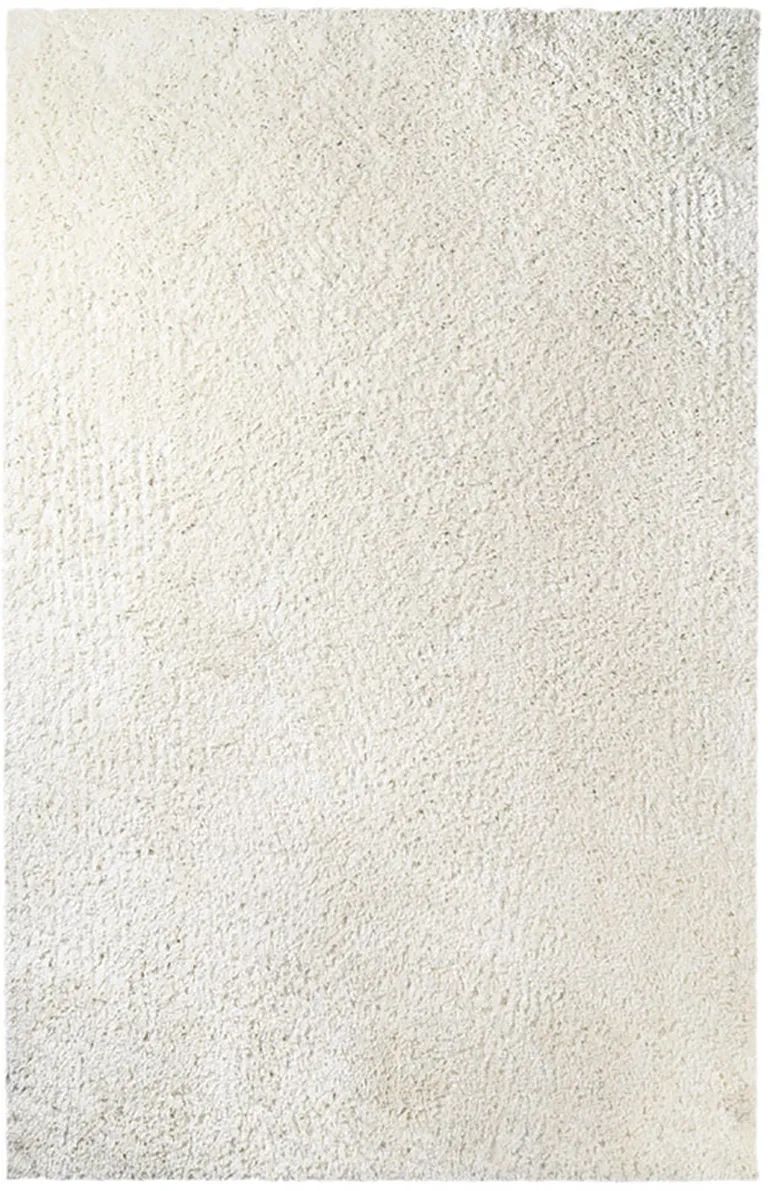 Shag Stain Resistant Area Rug Photo 1