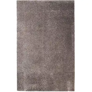 Photo of Shag Stain Resistant Area Rug