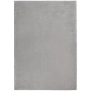 Photo of Silver Grey Non Skid Indoor Outdoor Area Rug