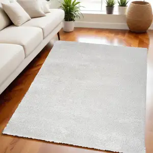 Photo of Silver Shag Power Loom Area Rug