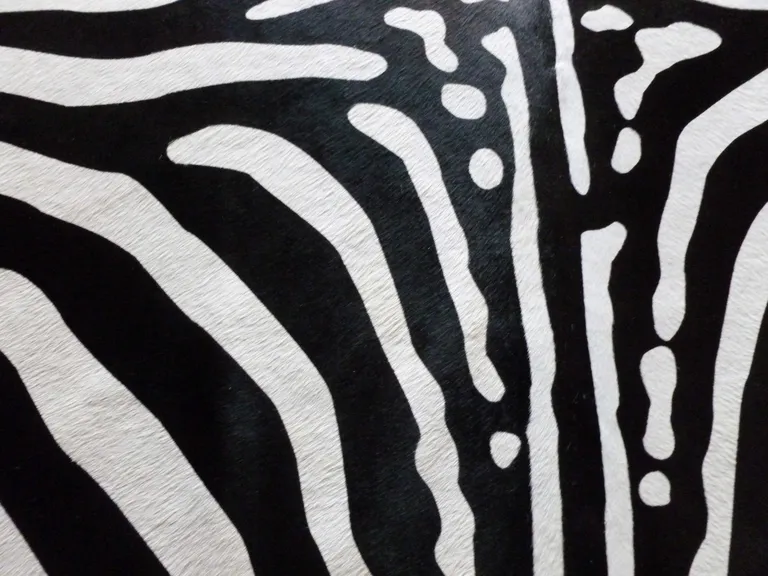 Stenciled Reverse Zebra Cowhide Rug Photo 2