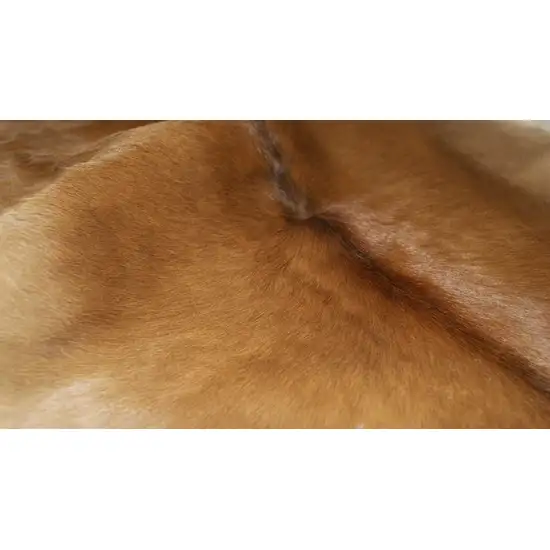 Tan Calfskin - Area Rug Photo 2