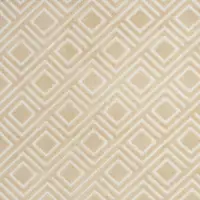 Photo of Tan Geometric Area Rug