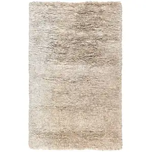 Photo of Tan Hand Woven Area Rug