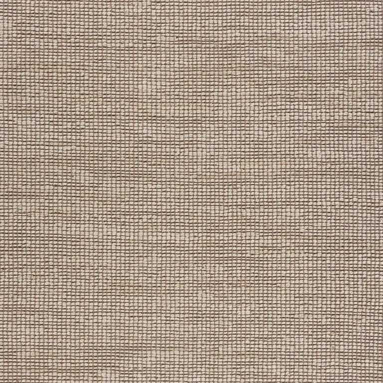 Tan and White Braid Border Area Rug Photo 2