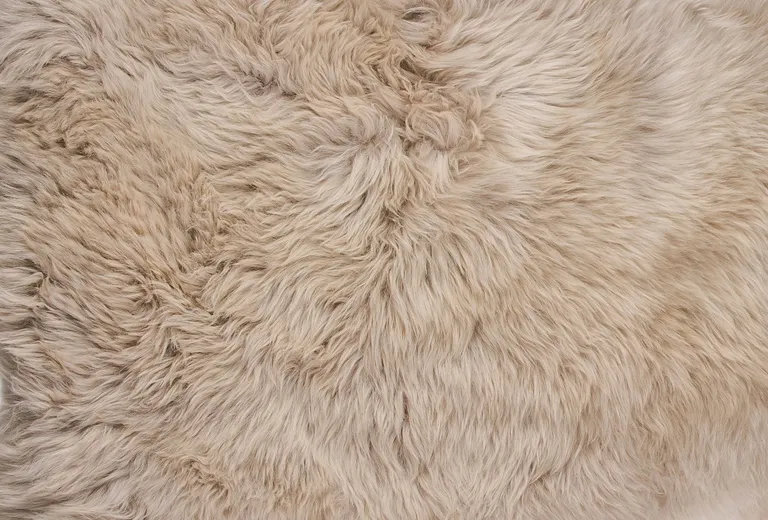 Taupe Natural Rectangular Sheepskin Area Rug Photo 2