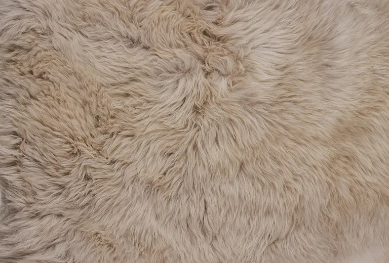 Taupe Wool Sheepskin Handmade Area Rug Photo 5