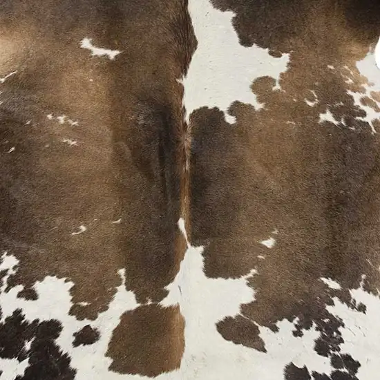 Taupe and White Cowhide - Rug Photo 2