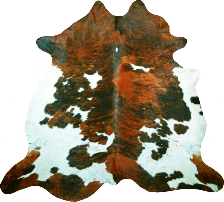 Tri-Colored Brindled Cowhide Rug Photo 1