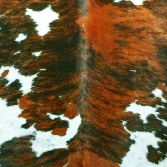 Tri-Colored Brindled Cowhide Rug Photo 4