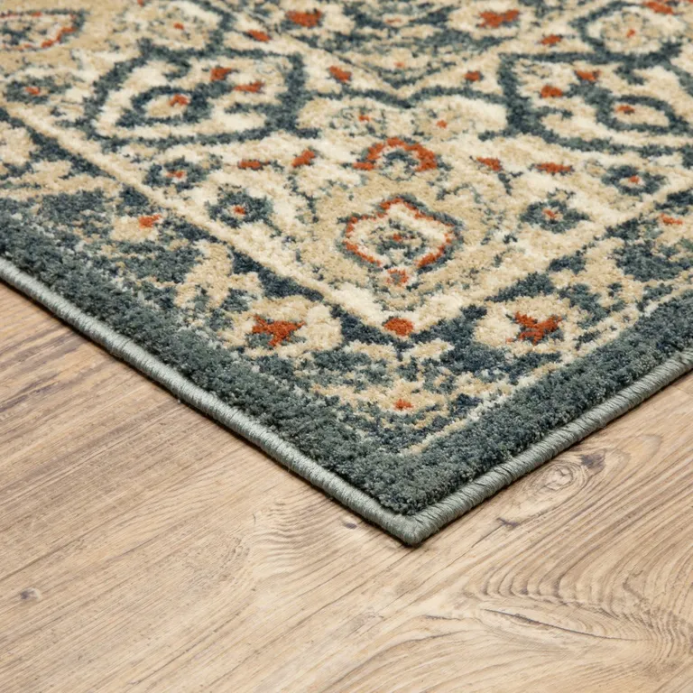 Vintage Beige and Blue Indoor Area Rug Photo 3