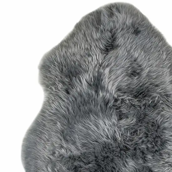 Warm Gray New Zealand Natural Sheepskin Rug Photo 6