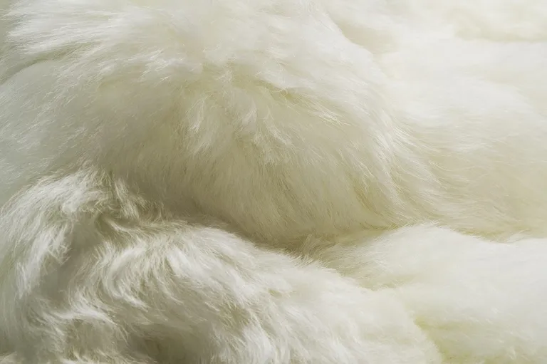 White  Natural Sheepskin Fur Area Rug Photo 3