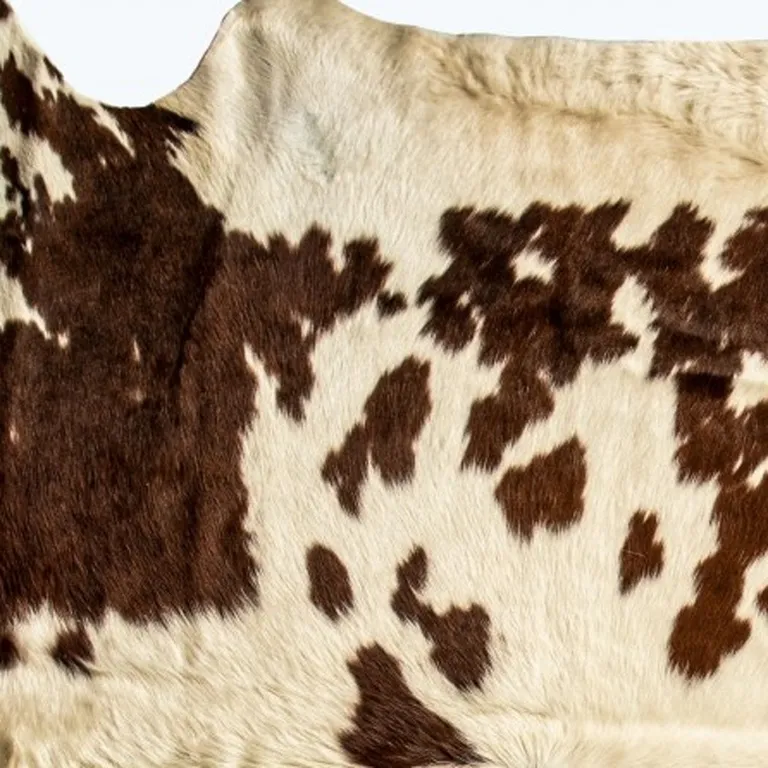 White and Brown Cowhide  Rug Photo 4