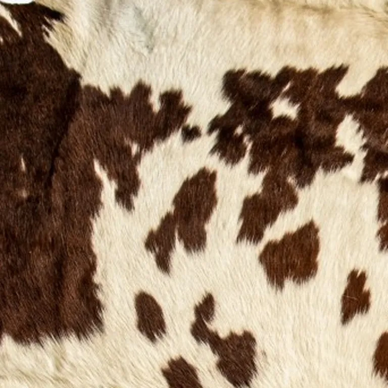 White and Brown Cowhide  Rug Photo 5