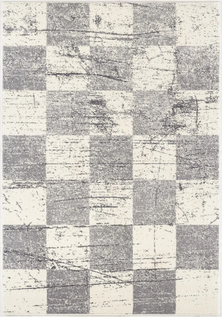 White and Gray Checkered Area Rug Photo 5