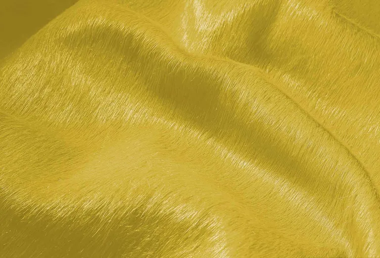 Yellow Cowhide - Area Rug Photo 2